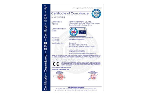 三相異步電動機CE認(rèn)證